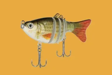 Défi de photographie de produits de pêche