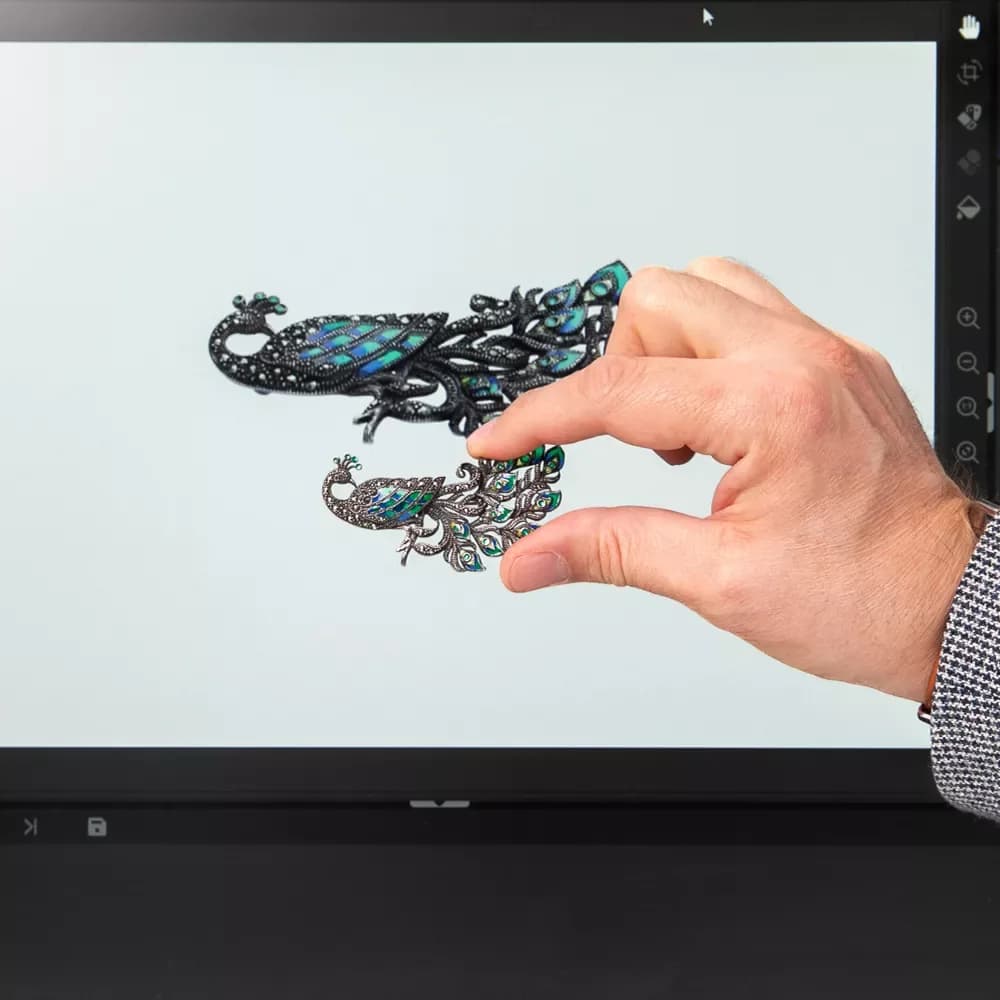 Main tenant des bijoux devant un écran avec le logiciel Orbitvu