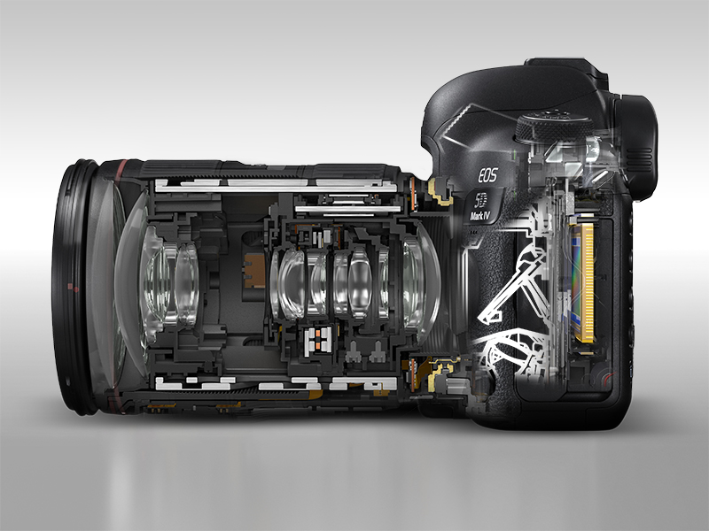 Source et copyright : Canon Europe
