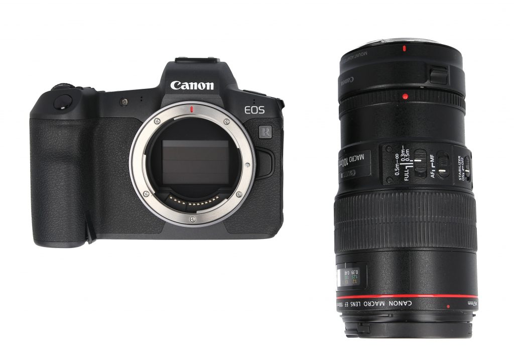 Canon EOS R avec objectif macro